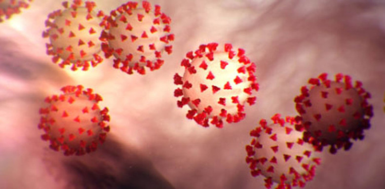 coronavirus stylised image